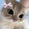 princesse_saro