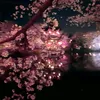 sumayal01