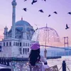 starsqueen65