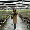 minohappyplant