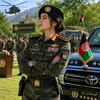 zaidullah.paktiaw