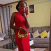 its_artis5