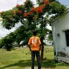 nur.alam7585