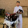 amanat.mirali0