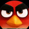 rameezvines1