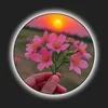 user729052226
