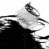 .skullzedits._