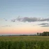 lex62785