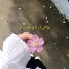 أثر طيب 🌱.