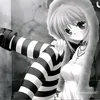 dcm_em_bonq
