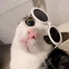 raverry3