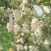 qing_an.22