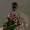 bayan_al2b
