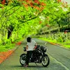 bhola.banglabagar