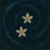 mervee14_2