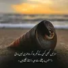 m.tariq.mahmood53