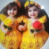 omlbanat9837