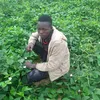 user2142132812185