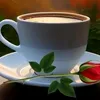 abdallah49946