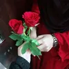 diari_isteri