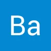 bassir905