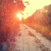 mrciagonzaga6