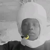 dan.mato60