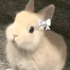 niiydyana_x3