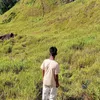 faal0791