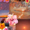 soujoud5565