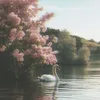 s8xlll_