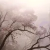 forsi_tyt
