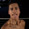 urmyfavdino