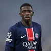 absolutefoot