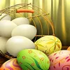 .farhad.hameedi