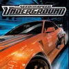 100.nfs