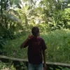 md.aramn2