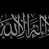 user8340539787755