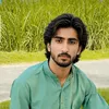 nasir.malik4134