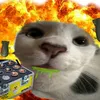 bihaz6