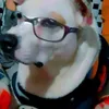 kacyworn