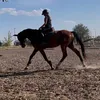 gyorffyanna1