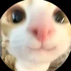 riskasrsndt