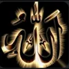 user9504114994693