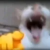 superlenn1