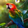 user2120192158683