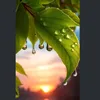 user411052392947