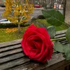 igweobinnaelias1