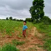 waiph081