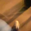 merikrismesplisdonkal
